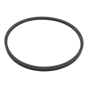 Motor Belts